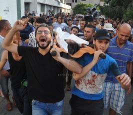 شهداء 2014