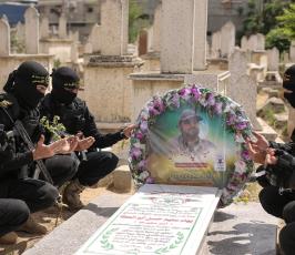 بهاء أبو العطا (21).JPG