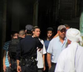 مستوطنون يقتحمون باحات المسجد الأقصى