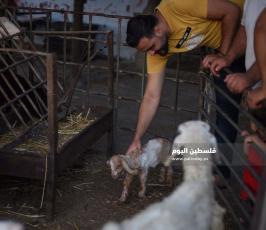 عيد الاضحى ‫(173447292)‬ ‫‬.jpg