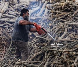 بيع الحطب مع اقترب فصل الشتاء (16).jpg