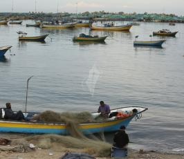 صيادون غزيون يمارسون مهنة الصيد على الرغم من الأجواء الباردة ‫(1)‬