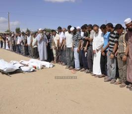 شهداء2014