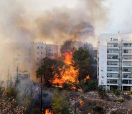حرائق بمستوطنات الاحتلال قرب القدس المحتلة ‫(39191042)‬ ‫‬