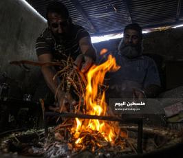 بيع الحطب مع اقترب فصل الشتاء (9).jpg