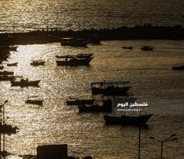 ميناء غزة (1).jpg