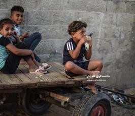 اطفال  ‫(320638439)‬ ‫‬.jpg