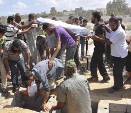 شهداء2014