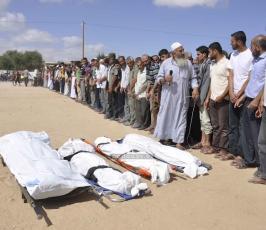 شهداء2014