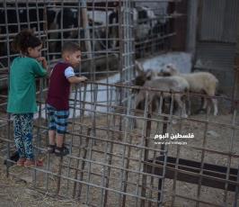 عيد الاضحى ‫(173447275)‬ ‫‬.jpg