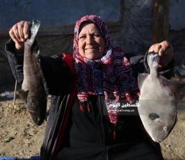 غزة امرأة فلسطينية تجاهد معاناة الحياة ببيع الأسماك في الأسواق (2).jpg