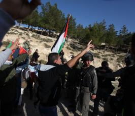خاص فلسطين اليوم- الاحتلال يقمع سكان 'باب الشمس' للمرة الثانية