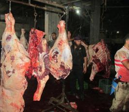 حركة الجهاد تبدأ بمشروع توزيع الأضاحي في اقليم الوسطى