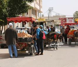 عربات الخضار للشوارع (3).JPG