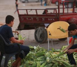 بائعين الذرة على شاطى بحر غزة ‫(39256590)‬ ‫‬