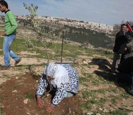 نشطاء فلسطينيون يعودون إلى باب الكرامة شمال غرب القدس المحتلة