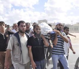 شهداء2014