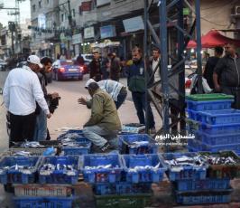 عصافير ‫(290538837)‬ ‫‬.jpg