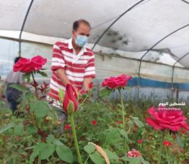 ورود غزة  (7).jpg