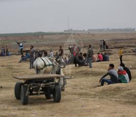 مواجهات جمعة عمال فلسطين ‫(41878046)‬ ‫‬.JPG