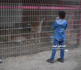 حديقة حيوان ‫(1)‬ ‫‬.JPG