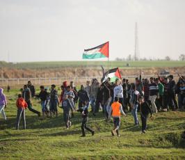 مسيرات العودة (30).JPG