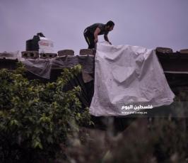 منخفض ‫(260057857)‬ ‫‬.jpg