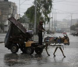 عمال (2).JPG