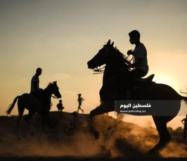 سباق خيول ‫(1)‬.jpg