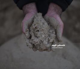 افران الطين  ‫(313923000)‬ ‫‬.JPG