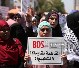 يوم غضب رفضاً لخطط الضم الإسرائيلية (21).JPG