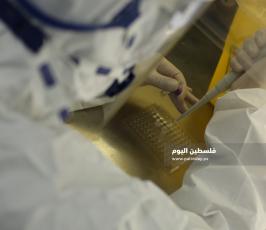 فحص كورونا بغزة  (17).JPG