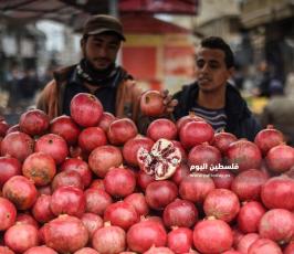 مزارعات  ‫(202810290)‬ ‫‬.jpg