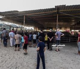 اضحى 2020 ‫(59924193)‬ ‫‬.jpg