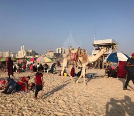  بحر غزة (2).jpeg