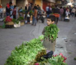 اطفال السوق ‫(38535682)‬ ‫‬.jpeg