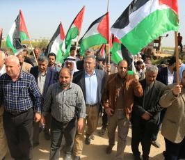 صور زراعة اشتال الزيتون على الحدود  ‫(1)‬ ‫‬.JPG