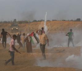 مسيرات العودة ‫(42271262)‬ ‫‬.jpg