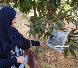  شابة من غزة تعلق معرضها الفني على أشجار منزلها (6).jpg