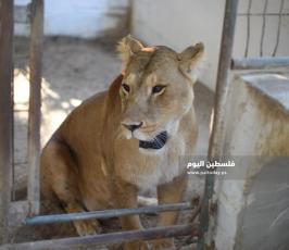 اشبال رفح ‫(302713013)‬ ‫‬.JPG