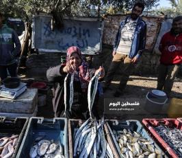 غزة امرأة فلسطينية تجاهد معاناة الحياة ببيع الأسماك في الأسواق (4).jpg