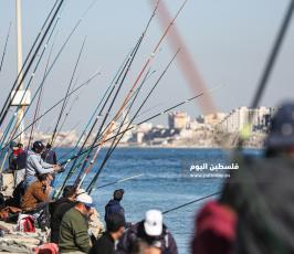 صيد بالصنارة في ميناء غزة البحري (16).JPG