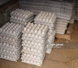 مزارع بيض ‫(293561221)‬ ‫‬.jpg