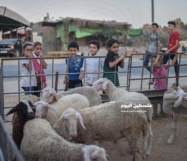 عيد الاضحى ‫(173447269)‬ ‫‬.jpg