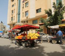 عربات الخضار للشوارع (8).JPG