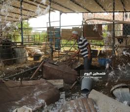 أضرار في مزرعة للبقر إثر القصف الصهيونى (10).JPG