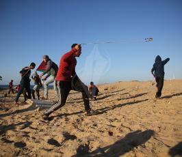 الحراك البحرى (6).JPG