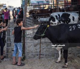 اضحى 2020 ‫(59924203)‬ ‫‬.jpg