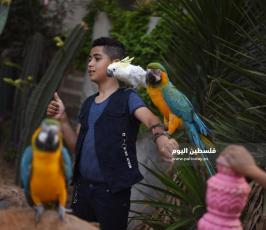 حديقة حيوان ‫(360031263)‬ ‫‬.JPG