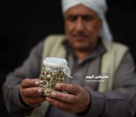 بنك البذور ‫(1)‬.jpg